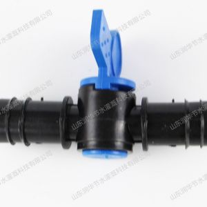 Simple globe valve